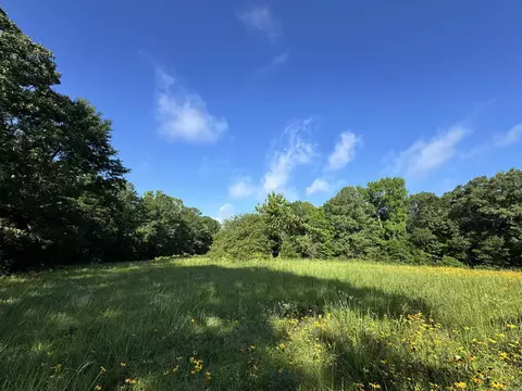 2 25 Acres Cuffman Mill Rd, Malvern, AR 72104 photo 23