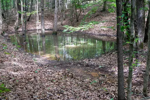 000 Bay Ln, Harrisburg, AR 72432