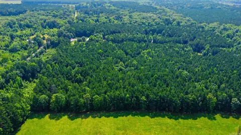 14 13 Acres Grant 18, Grapevine, AR 72057 photo 10