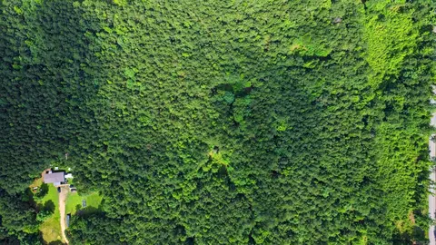 14 13 Acres Grant 18, Grapevine, AR 72057 photo 6