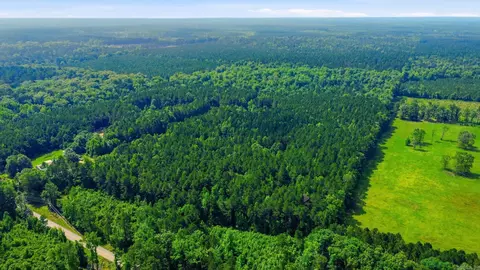4 7 Acres Grant 18, Grapevine, AR 72057 photo 12