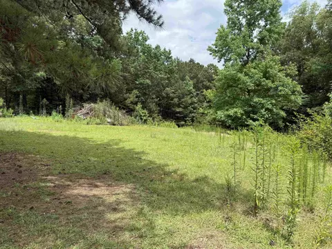 6824 Myrtle, Mabelvale, AR 72103 photo 47