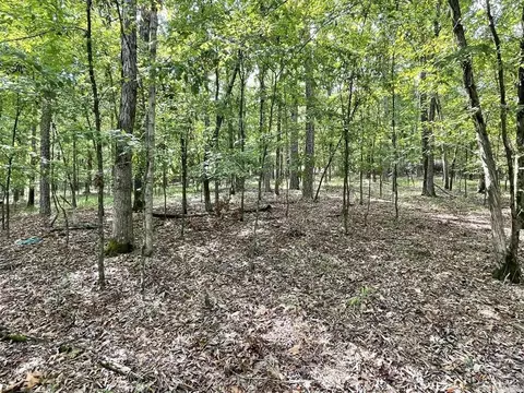 000 Spring Branch Dr, Haskell, AR 72015 photo 2