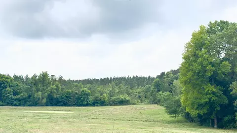 100 Acres Wynn Rd, Dierks, AR 71833 photo 5