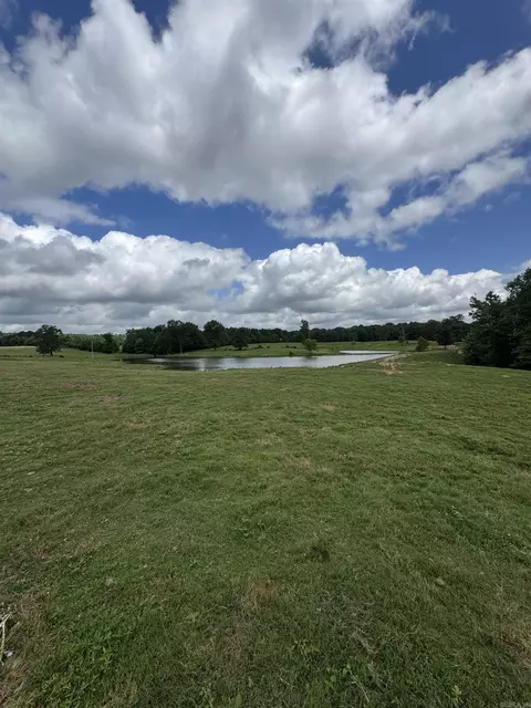 100 Acres Wynn Rd, Dierks, AR 71833 photo 15