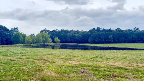 100 Acres Wynn Rd, Dierks, AR 71833 photo 6