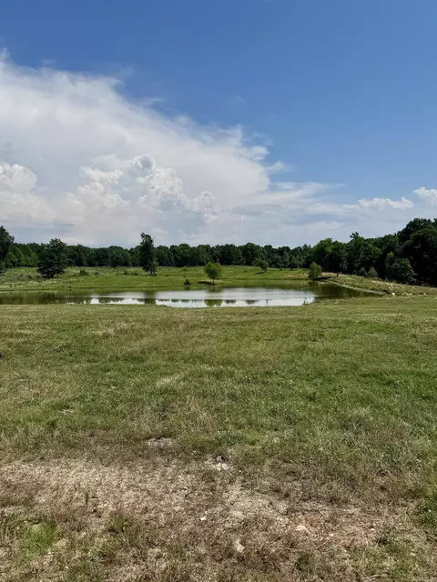 100 Acres Wynn Rd, Dierks, AR 71833 photo 10