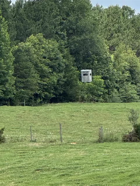 100 Acres Wynn Rd, Dierks, AR 71833 photo 16