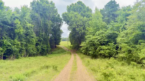 100 Acres Wynn Rd, Dierks, AR 71833 photo 17