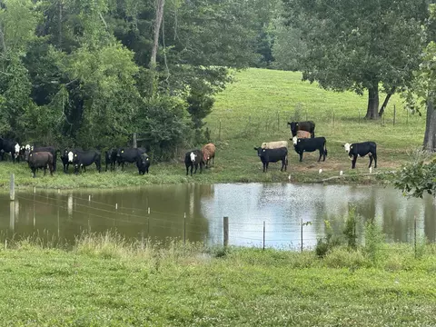 100 Acres Wynn Rd, Dierks, AR 71833 photo 2