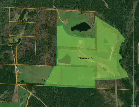 100 Acres Wynn Rd, Dierks, AR 71833 photo 18