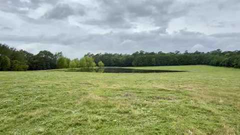 100 Acres Wynn Rd, Dierks, AR 71833 photo 7