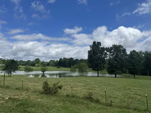 100 Acres Wynn Rd, Dierks, AR 71833 photo 8