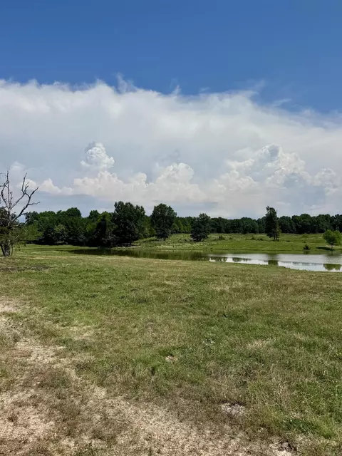 100 Acres Wynn Rd, Dierks, AR 71833 photo 11