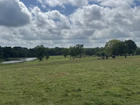 100 Acres Wynn Rd, Dierks, AR 71833 photo 14
