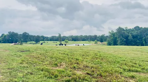 100 Acres Wynn Rd, Dierks, AR 71833 photo 4