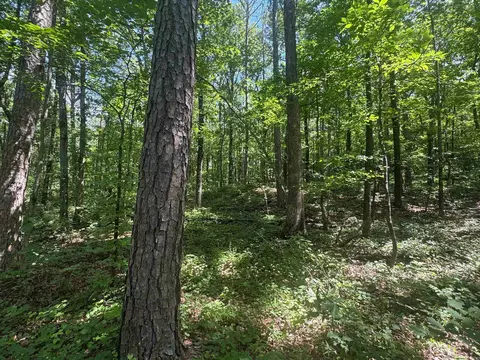 tbd Denver Rd, Clinton, AR 72031 photo 46