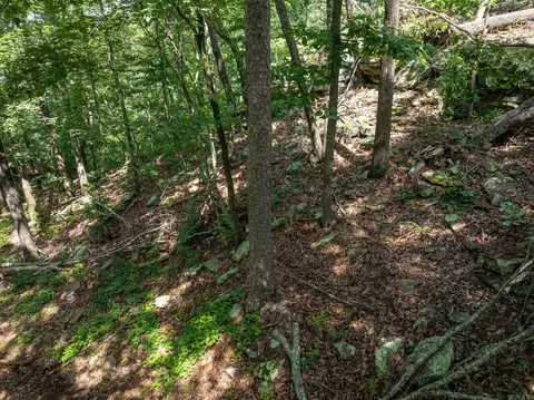 tbd Denver Rd, Clinton, AR 72031 photo 18