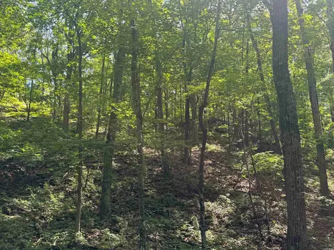 tbd Denver Rd, Clinton, AR 72031 photo 29