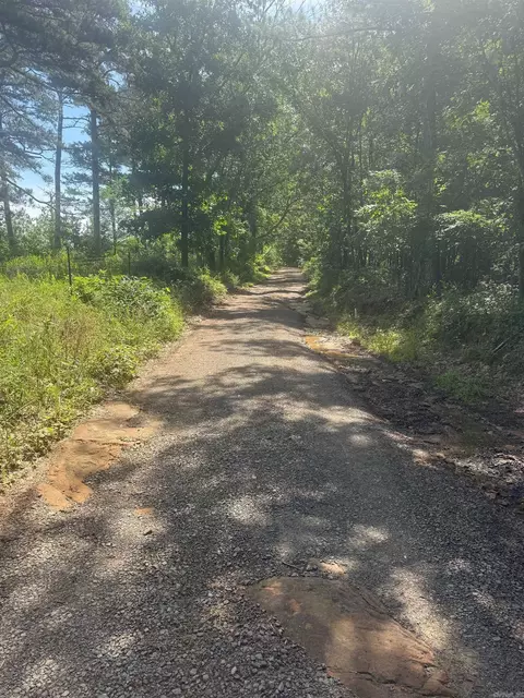 tbd Denver Rd, Clinton, AR 72031 photo 36