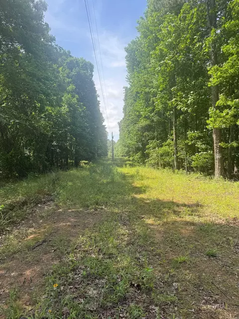 tbd Denver Rd, Clinton, AR 72031 photo 37