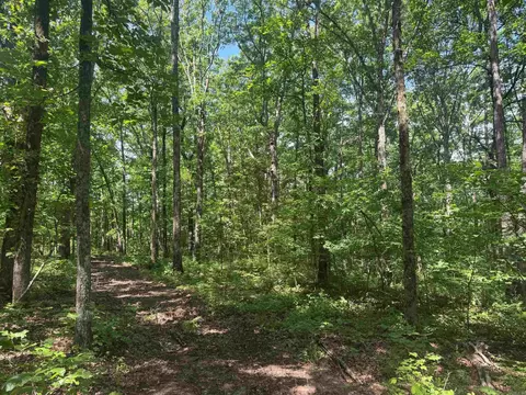 tbd Denver Rd, Clinton, AR 72031 photo 44