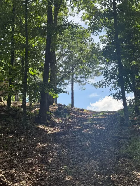 tbd Denver Rd, Clinton, AR 72031 photo 32