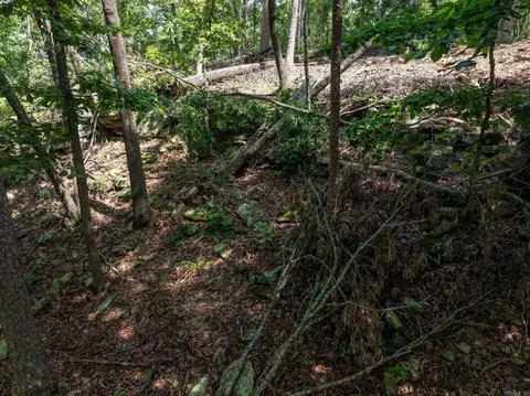 tbd Denver Rd, Clinton, AR 72031 photo 19