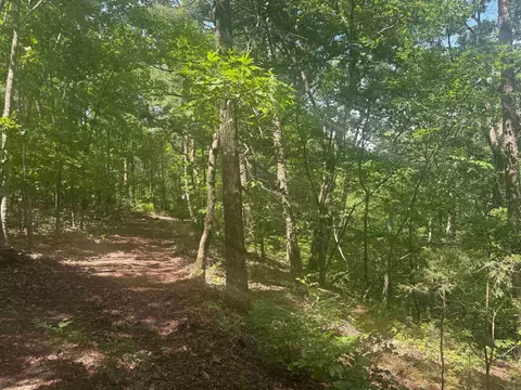 tbd Denver Rd, Clinton, AR 72031 photo 41