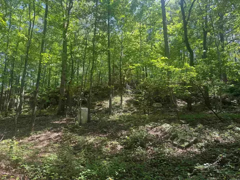 tbd Denver Rd, Clinton, AR 72031 photo 43