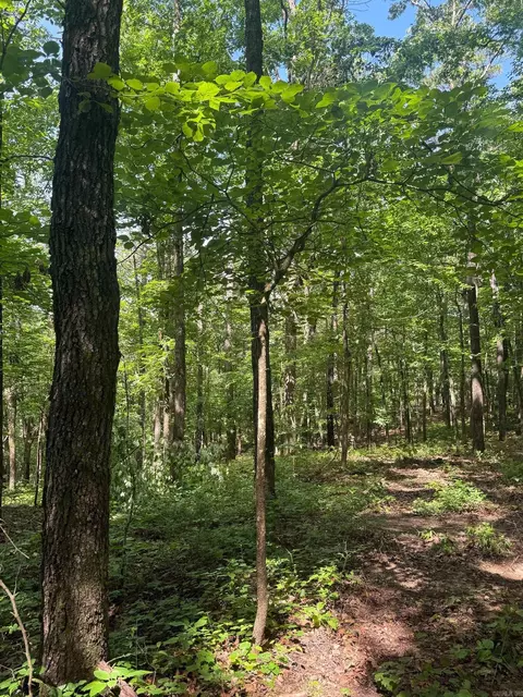 tbd Denver Rd, Clinton, AR 72031 photo 30