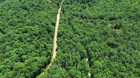 10 Lute Mountain Rd, Shirley, AR 72513