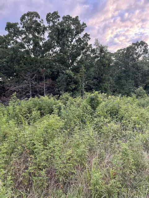 000 Ballard Rd, Vilonia, AR 72173