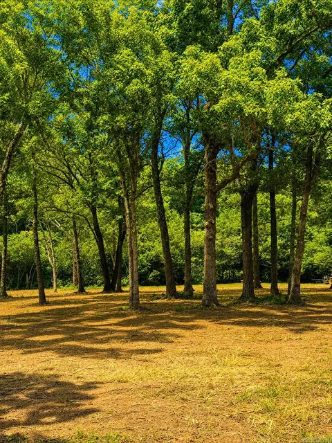 00 Cemetery Rd, Clinton, AR 72031