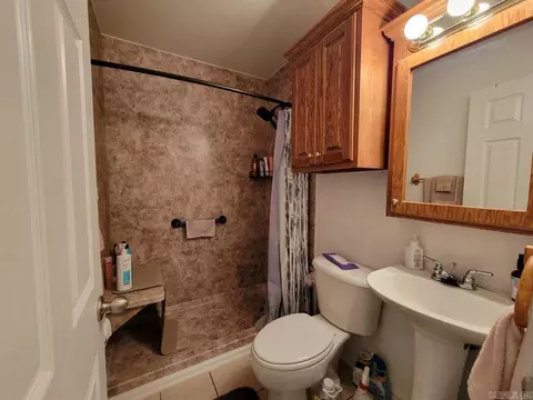 Bath - 117 Cub Dr, De Queen, AR 71832 photo 2 of 2