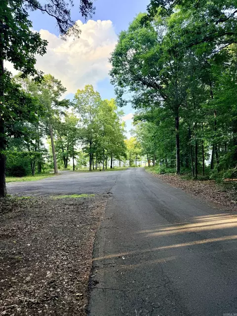 0 Lakefront Rd, Quitman, AR 72131 photo 35