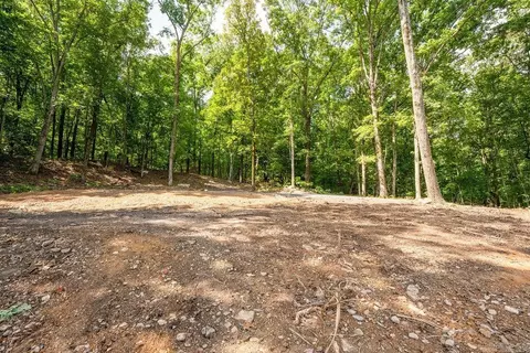 0 Lakefront Rd, Quitman, AR 72131 photo 10