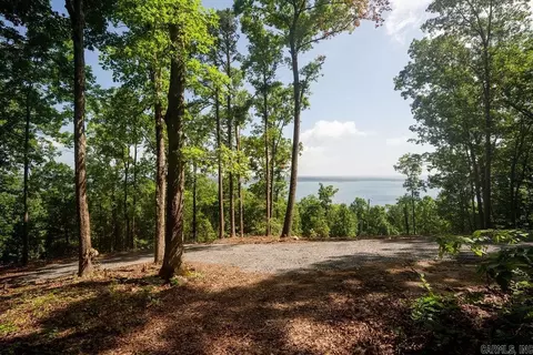 0 Lakefront Rd, Quitman, AR 72131 photo 15
