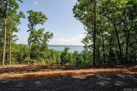 0 Lakefront Rd, Quitman, AR 72131 photo 12