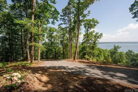 0 Lakefront Rd, Quitman, AR 72131 photo 5