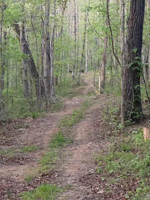 Other - 1070 Brewer Rd, Edgemont, AR 72044 photo 8 of 8