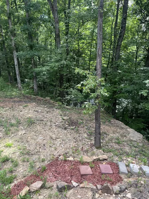 Exterior - 1070 Brewer Rd, Edgemont, AR 72044 photo 10 of 14