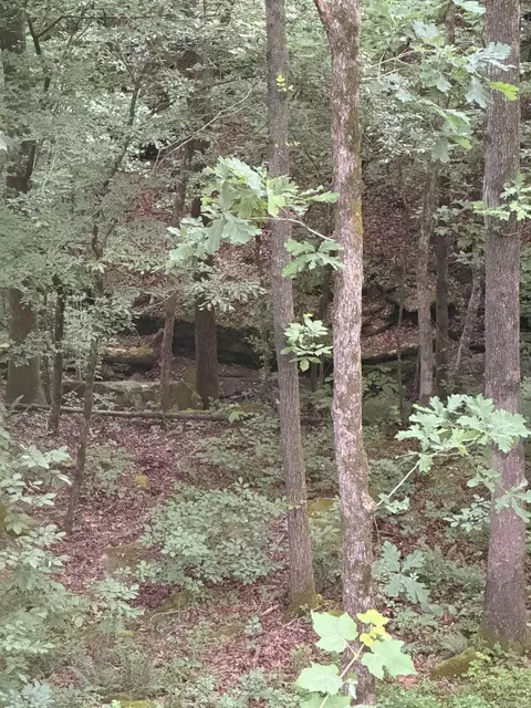 Other - 1070 Brewer Rd, Edgemont, AR 72044 photo 7 of 8