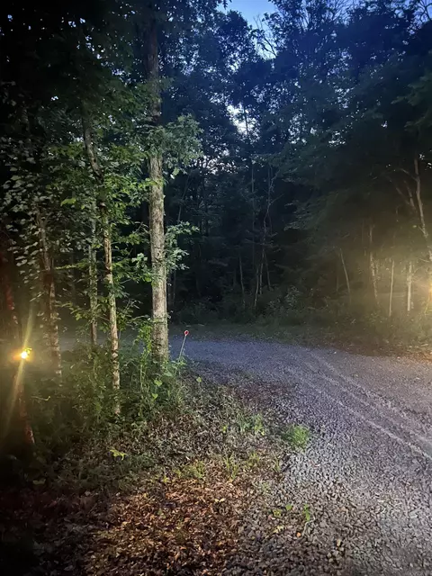 Other - 1070 Brewer Rd, Edgemont, AR 72044 photo 6 of 8