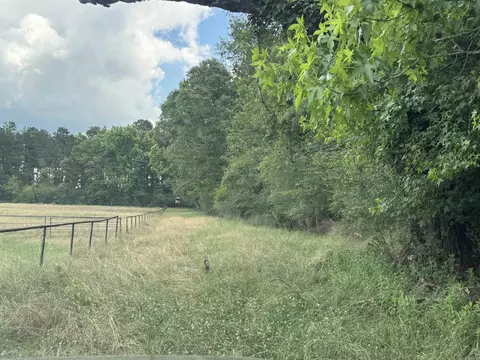 206 E Massey Ave, Waldo, AR 71770 photo 4