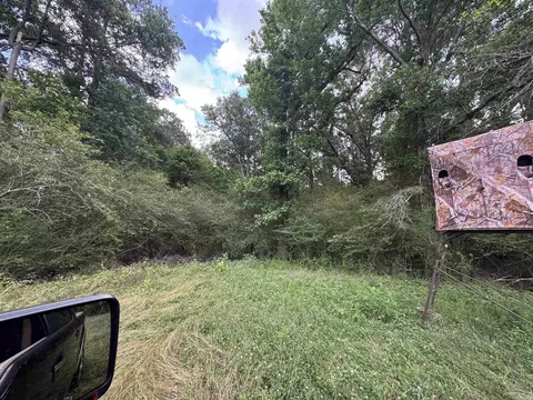 206 E Massey Ave, Waldo, AR 71770 photo 5