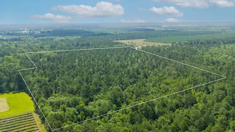 000 Mission Rd, Hampton, AR 71744 photo 2