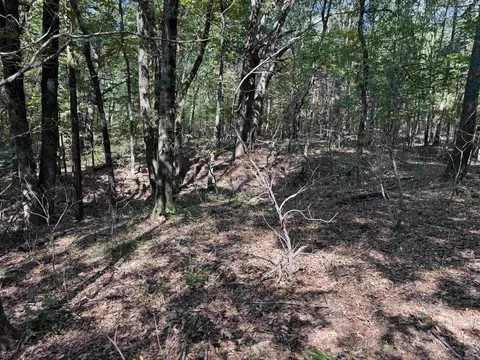 00 Calvary Cir, Lonoke, AR 72086 photo 6