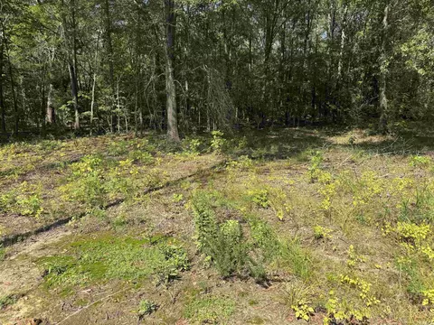00 Calvary Cir, Lonoke, AR 72086 photo 5