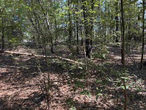 00 Calvary Cir, Lonoke, AR 72086 photo 2
